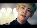 BTS Blood Sweat And Tears WhatsApp Status Edited Version