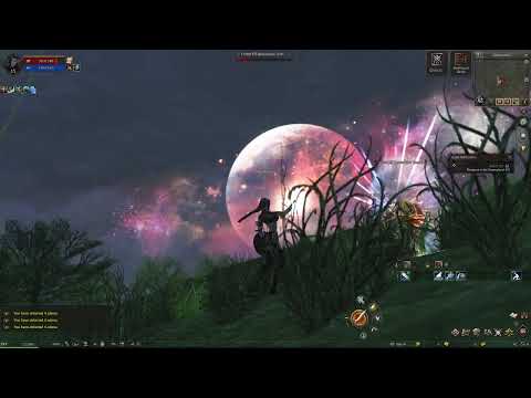 Lineage 2 Essence Part 1