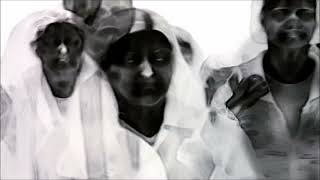 Camel | Shout