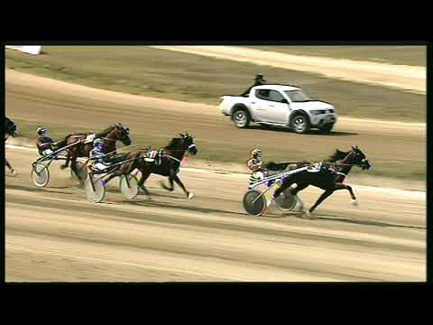 Trotto 13/09/2020 - 1ª corsa