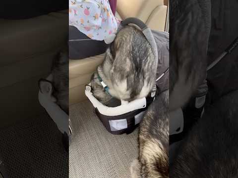 She was mamas first baby 👶😂❤️