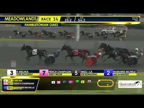 August 3, 2024 - Hambletonian Oaks - Race 14