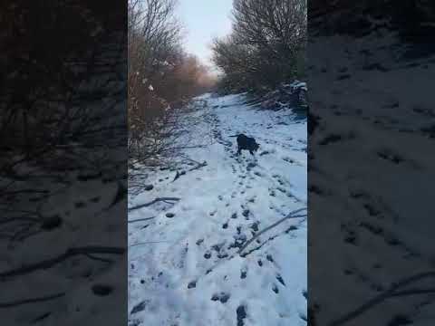 Video 5 Video 5