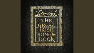 Dervish, David Gray - The West Coast Of Clare