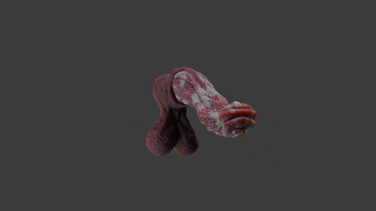 Fantasy Alien Horse Penis Rigged 3D Model