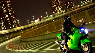 Doggy Games のライブ ストリーム