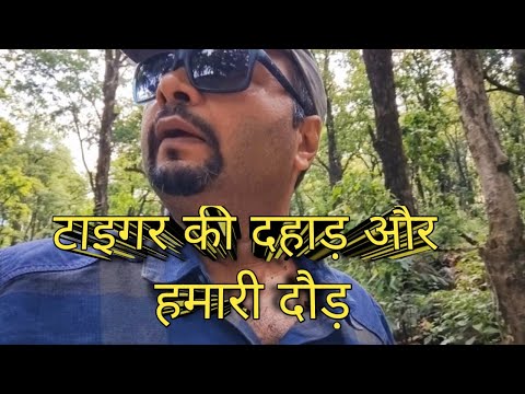 TIGER की दहाड़ और हमारी दौड़ | Tiger Growling While Trekking In Jungle | Sitabani | Jim Corbett Park