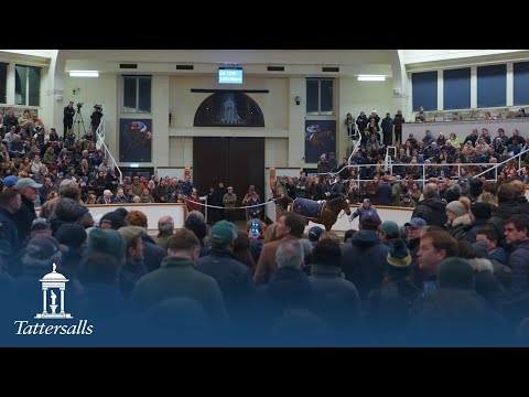 Tattersalls December Mares Sale 2025 Day 2 Review