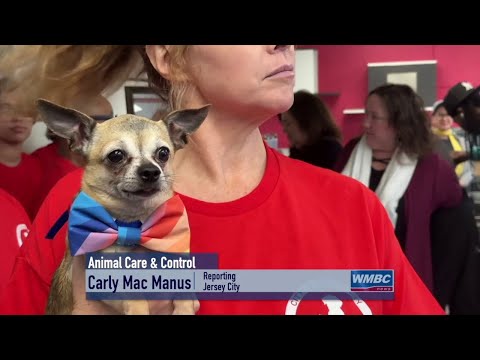 NJ Jersey City Animal Care, Control & Adoption