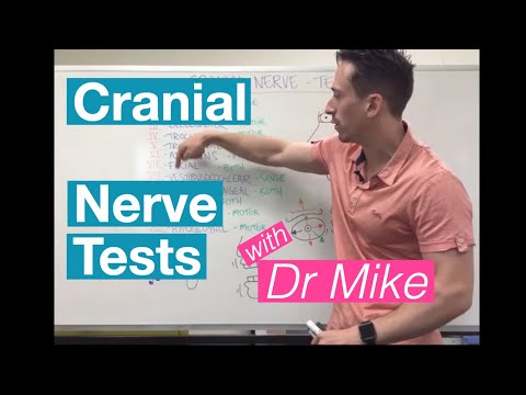 Cranial Nerve Tests | Nervous System