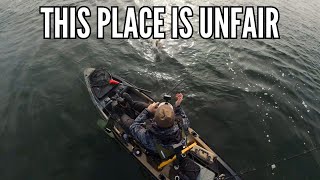 Bass Fishing Where It Shouldn't Be This Good