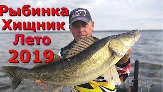 Отчеты о рыбалках на рыбинке