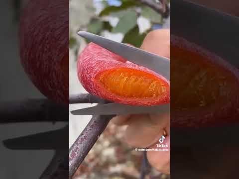 EMIWAY BΑΝΤΑΙ X SHEZ X FLOWBO - FAKE ONES (PROD.MEMAX) [OFFICIAL MUSIC VIDEO #emiwaybantai #trending