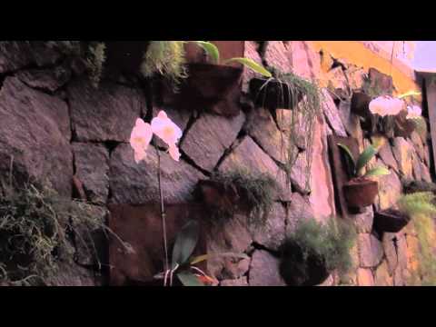 loja cheia de graça