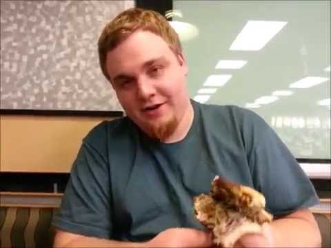 Carls Jr Philly cheesesteak burger review