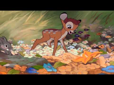 Bambi meets Flower HD