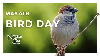 Bird Day | May 4th - National Day Calendar