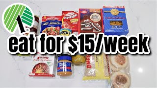 How to Eat for $15 a Week | Dollar Tree Budget Meal Plan | Extreme Grocery Haul