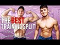 What Is The Best Training Split For Building Muscle Mass? (Workout Splits Explained)