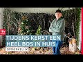 Teunis (85) heeft geen kerstboom maar een heel bos in huis | RTV Drenthe