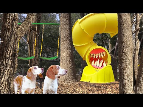 Dogs Find Slide Eater in Woods!