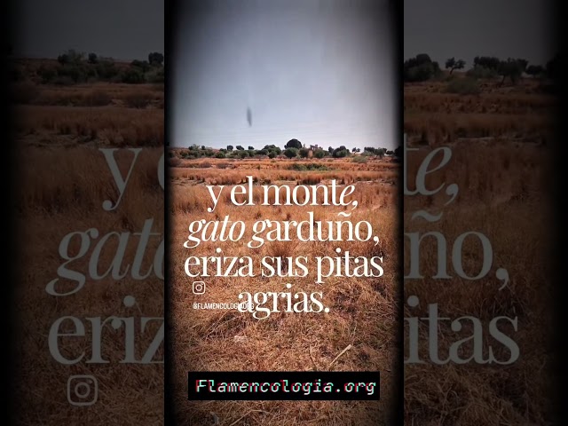 Vídeo relacionado con El flamenco a la luz de García Lorca