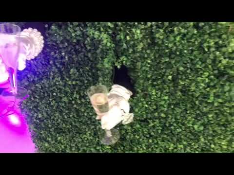 Promotional video thumbnail 3 for Luxury Event Planning