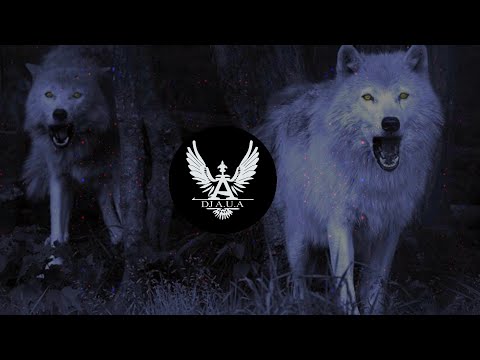 Avi S, Deny Sinto - Angry Ape