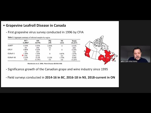CGCN-RCCV Grapevine Leafroll Virus Webinar recording