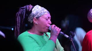 Bless My Room   Necessarry Noise   W O T E TV