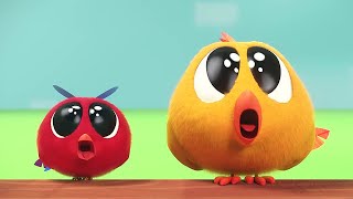 Chicky's new home | Where's Chicky? | Cartoon Collection in English for Kids | New episodes