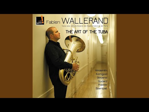 Parallels for Tuba and Piano: III. Vivo, Very Rythmical