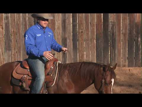 Casey D 14 Using Your Hands HD 1080   WEB H264 4000