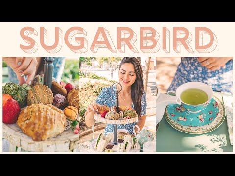 加州蒙特羅斯甜鳥餐廳的美味烤餅和茶點 (Delectable Scones and Tea at Sugarbird in Montrose, California)