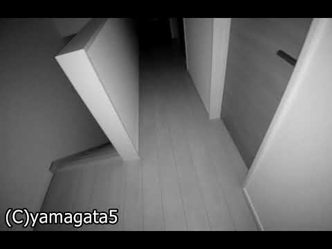 Ulefone Armor 11T 5G (FLIR Thermal Camera) + Night Vision Camera