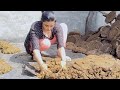 Kitna Muskil Kaam Hai Cowmilking Villagelifestyle Cleaningvlognew Village Cleaning Desifamily