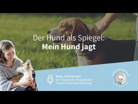 Der Hund als Spiegel : mein Hund jagt (Podcast Body, mind & howl)