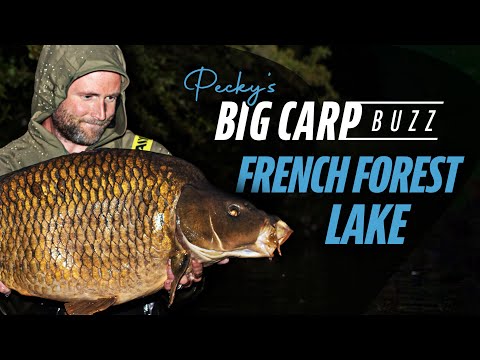 Darrell Pecks Big Carp Buzz | French Forest Lake
