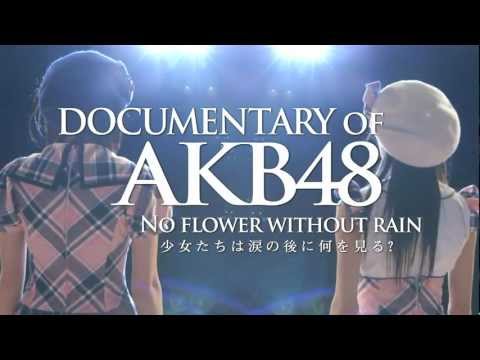 AKB48心程紀實3：少女眼淚的背後電影海報