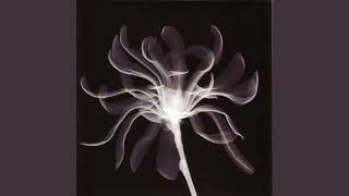 Angeldust (Please Come Down)