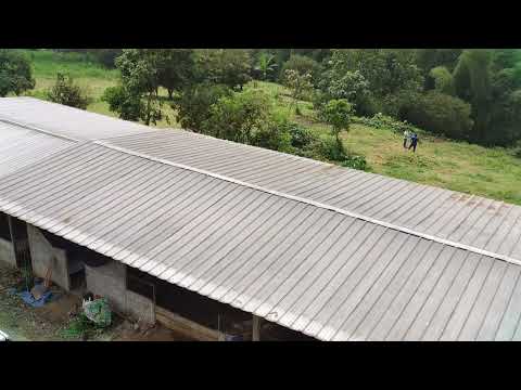GRANJA PORCINA EN VENTA - CANTON CUMANDÁ PROVINCIA DE CHIMBORAZO