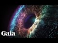Is The Universe CONNECTED At ALL Levels
