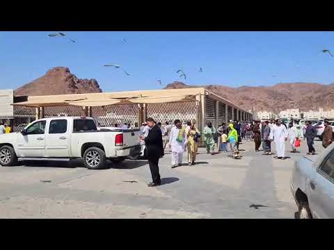 32. Njoftohu me Medinen - Xhamia Sejid Shuheda dhe dëshmorët e Uhudit