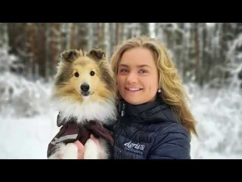 Digitalt öppet hus – programinfo Hundsport