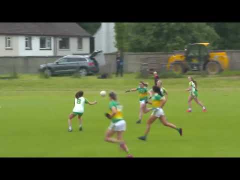 2022 06/05 Offaly v Leitrim - TG4 Intermediate Championship Group A Round 2