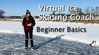 Beginner Basic Ice Skating Lesson in Detroit 2025