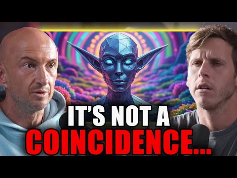Why DMT Entities Appear the Same to Everyone: Machine Elves Explained | Andrew Gallimore