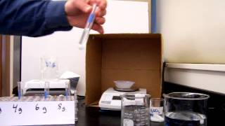 Chemistry Lab: Solubility Curve for Potassium Nitrate