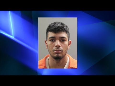 Long Island Gang Violence