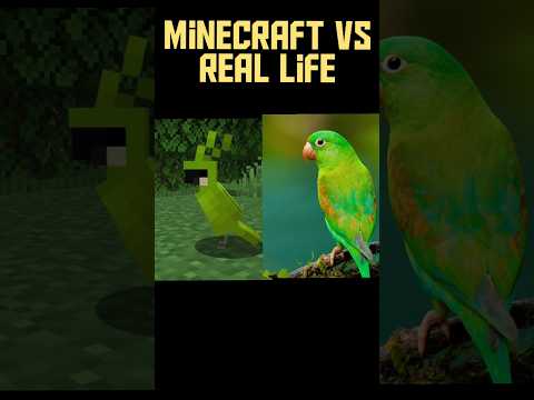 Insane Minecraft vs Real Life Battle!